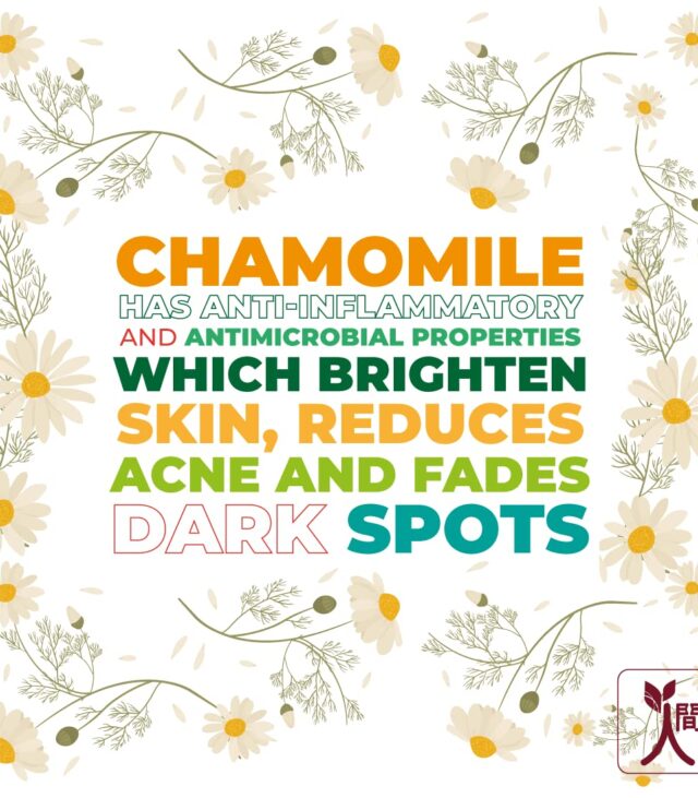 Ningen Chamomile Hair Serum I Infused with Onion Oil, Amla, Rosemary, Argan I Dermatologically Tested, Paraben Free I Reduce Dandruff, Promote Hair Growth, Prevent Split Ends I 100g, Brown - Image 4