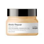 L'OREAL PROFESSIONNEL PARIS Serie Expert Absolut Repair Mask |Dry Hair Mask Provides Deep Conditioning & Strength, 250gms