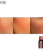 RENEE Fab Face 3 In 1 Makeup Stick Diva 4.5gm